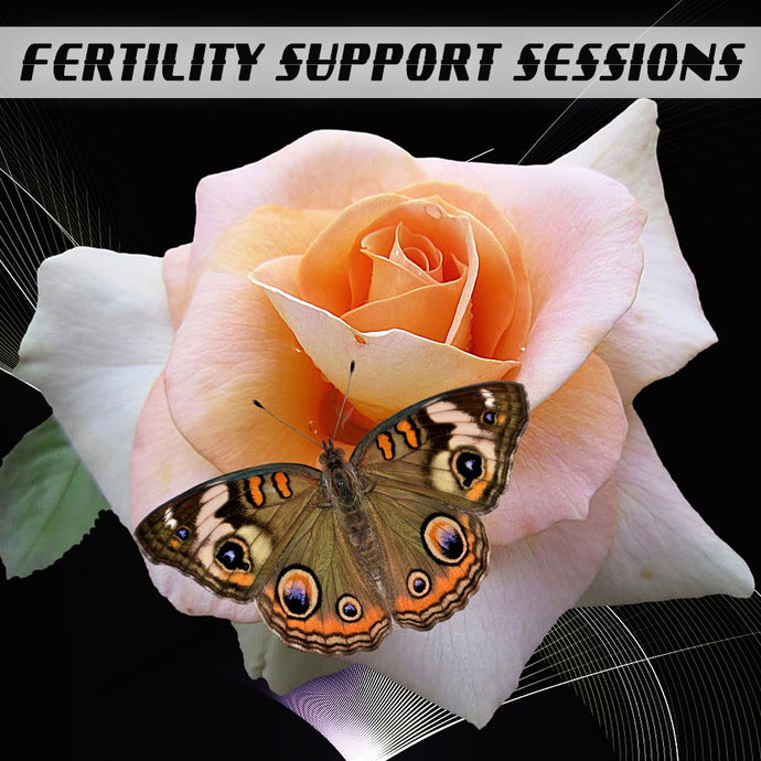 Fertility Support Sessions