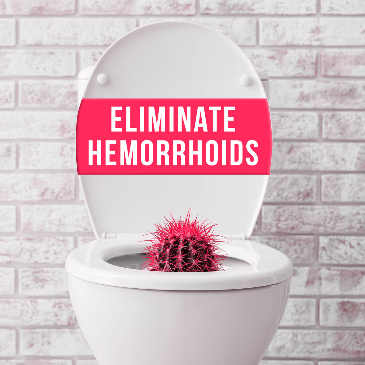 How to Eliminate Your Hemorrhoids PDF Julia Loggins Cleansing for Energy